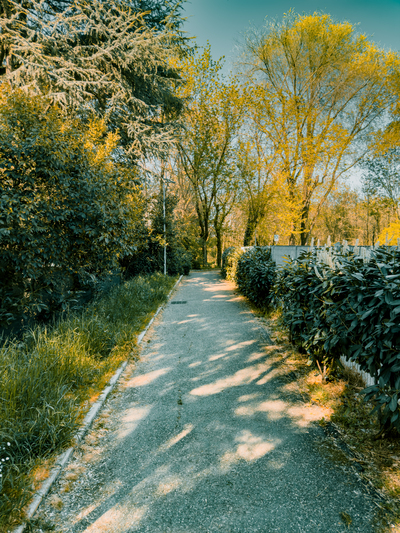 Path